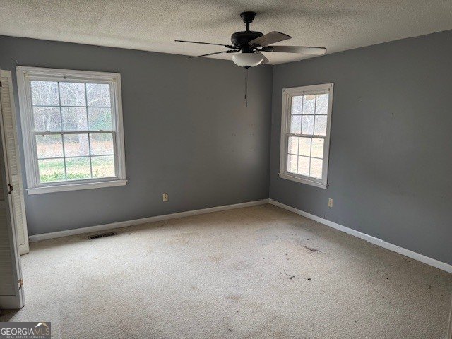 170 Tom Salter Road Thomaston - Photo 15