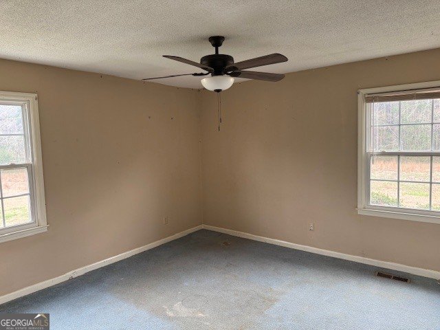 170 Tom Salter Road Thomaston - Photo 16