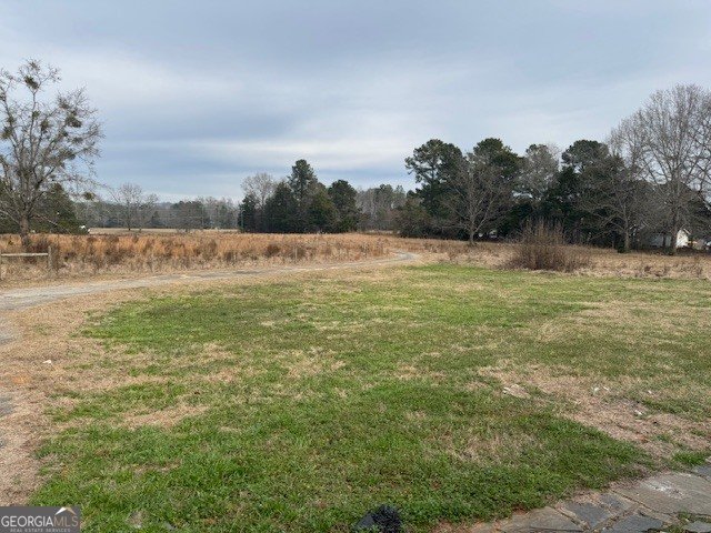 170 Tom Salter Road Thomaston - Photo 6