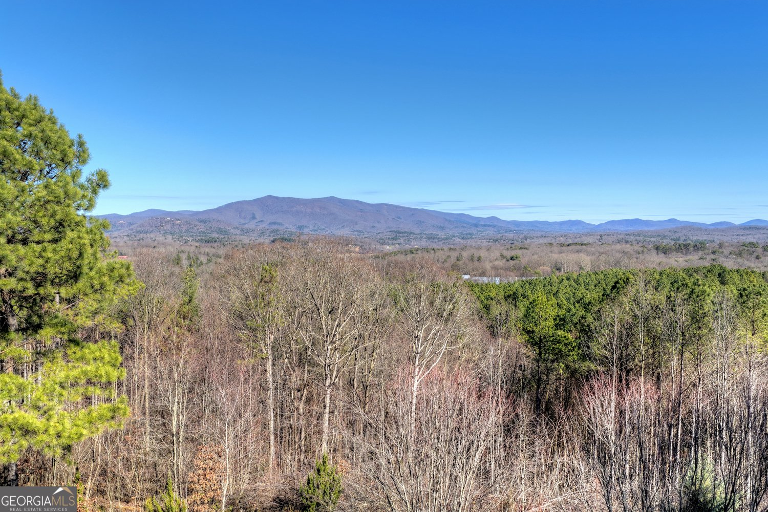 100 Foxpaw Leaf Court Ellijay - Photo 68