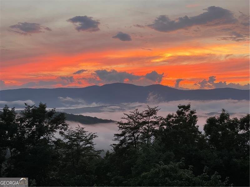 7709 Highway 19 Dahlonega - Photo 10