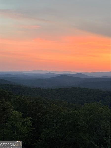 7709 Highway 19 Dahlonega - Photo 72