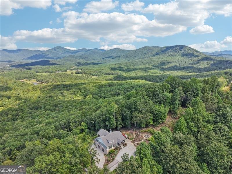 7709 Highway 19 Dahlonega - Photo 87