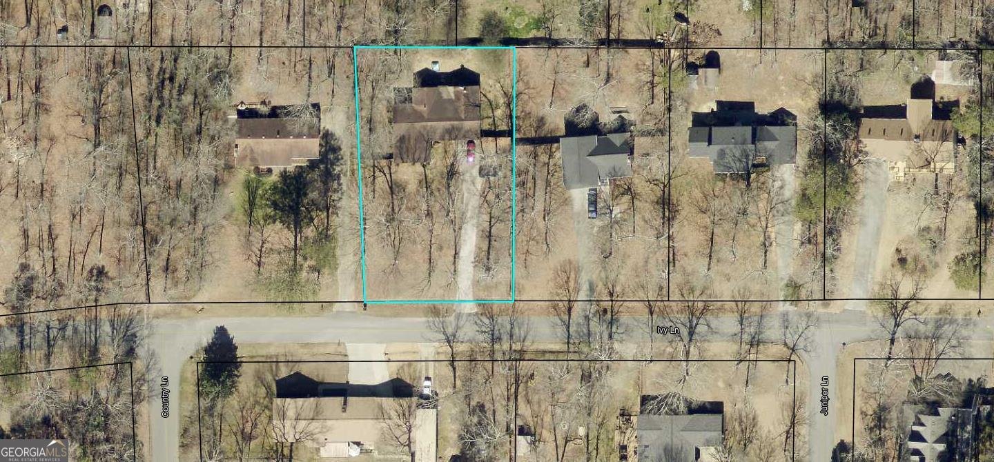 101 Ivy Lane Cartersville - Photo 48