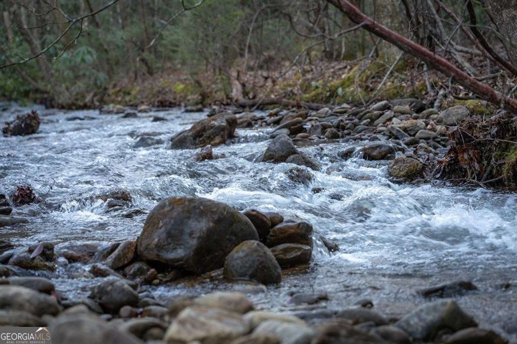 490 Red Wolf Run Franklin - Photo 12