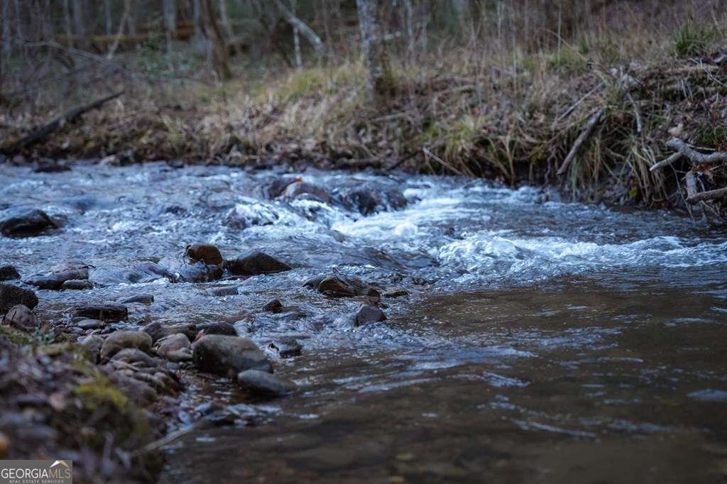 490 Red Wolf Run Franklin - Photo 14