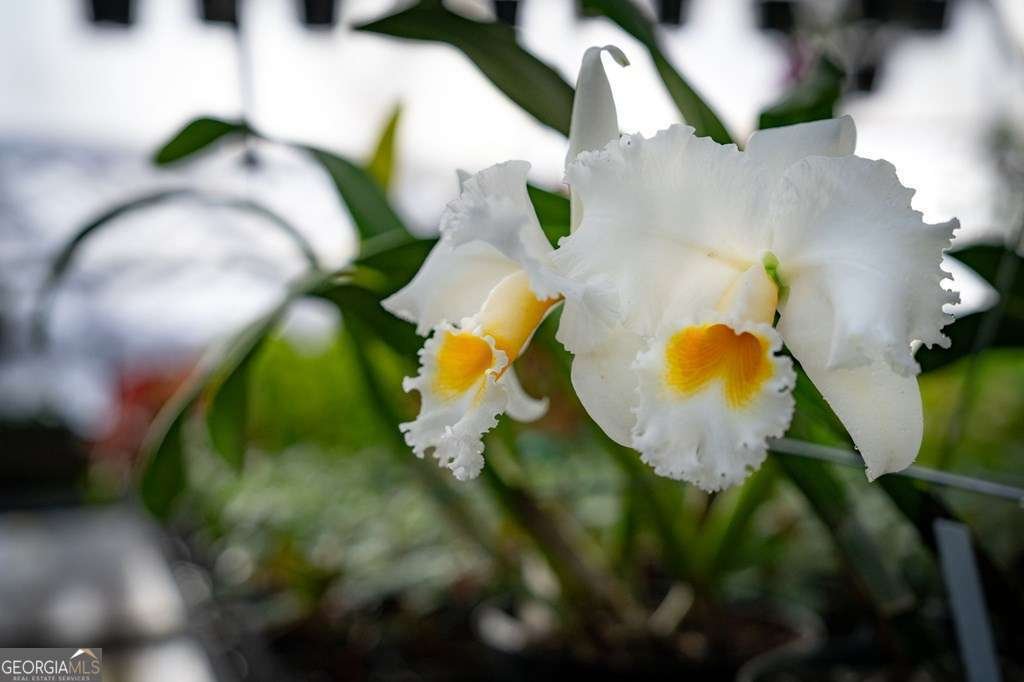 490 Red Wolf Run Franklin - Photo 80