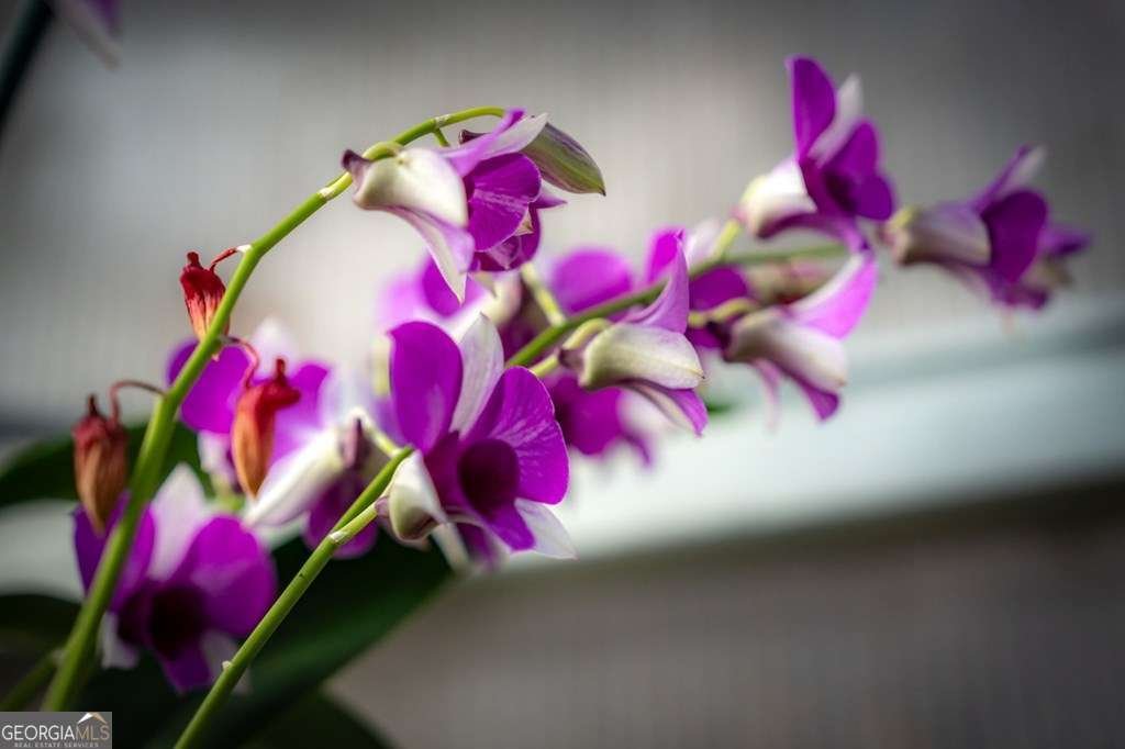 490 Red Wolf Run Franklin - Photo 83