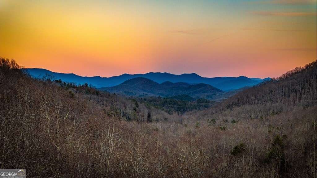 490 Red Wolf Run Franklin - Photo 9