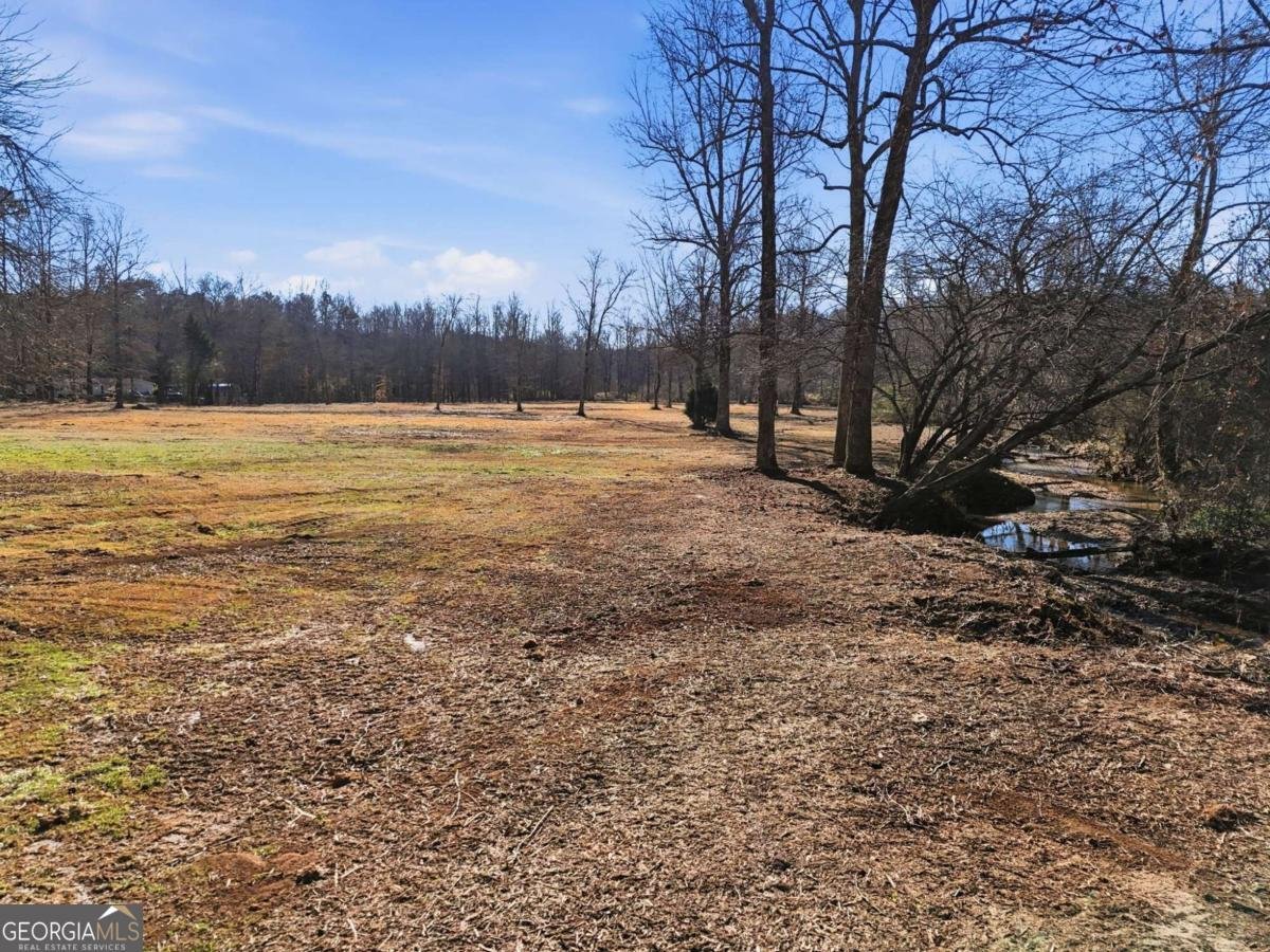 209 Horton Road Dahlonega - Photo 12