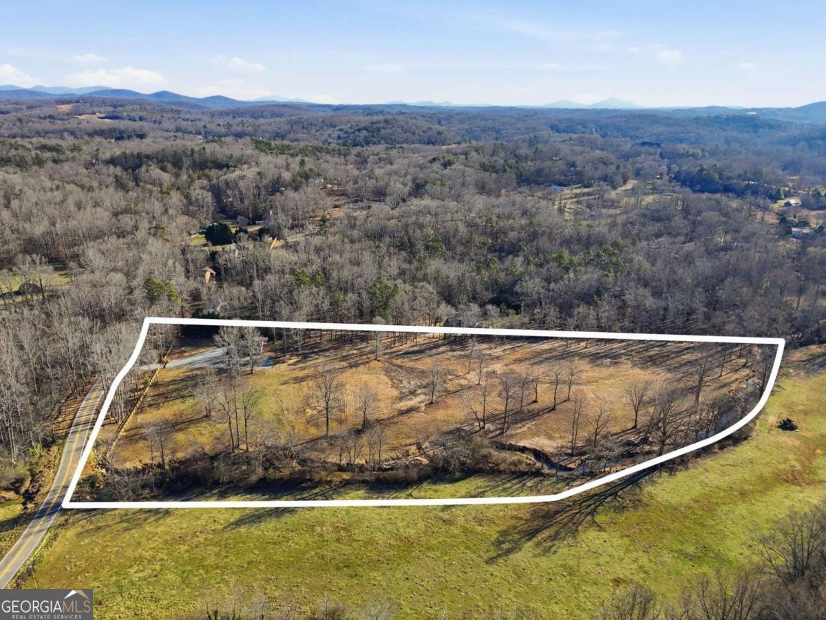 209 Horton Road Dahlonega - Photo 19