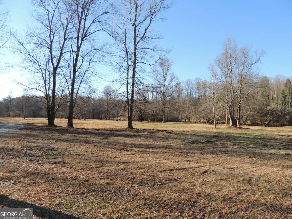 209 Horton Road Dahlonega - Photo 26