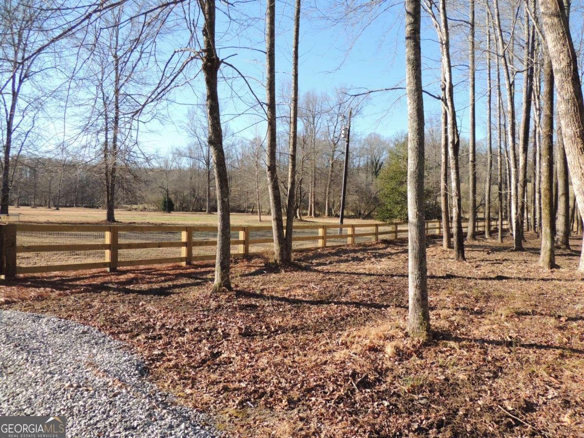 209 Horton Road Dahlonega - Photo 29