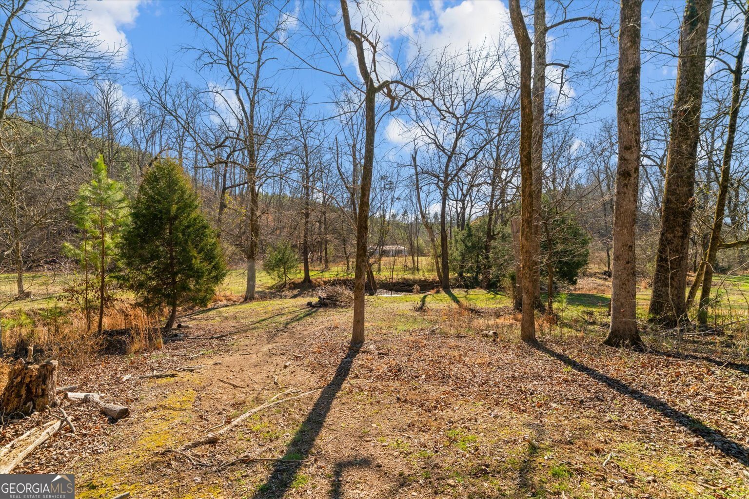 1021 Liberty Church Road Ranger - Photo 49