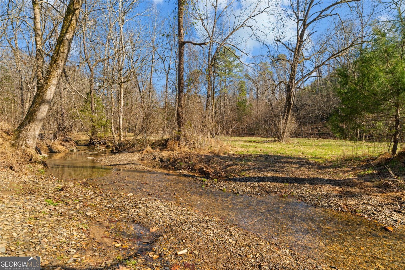 1021 Liberty Church Road Ranger - Photo 51