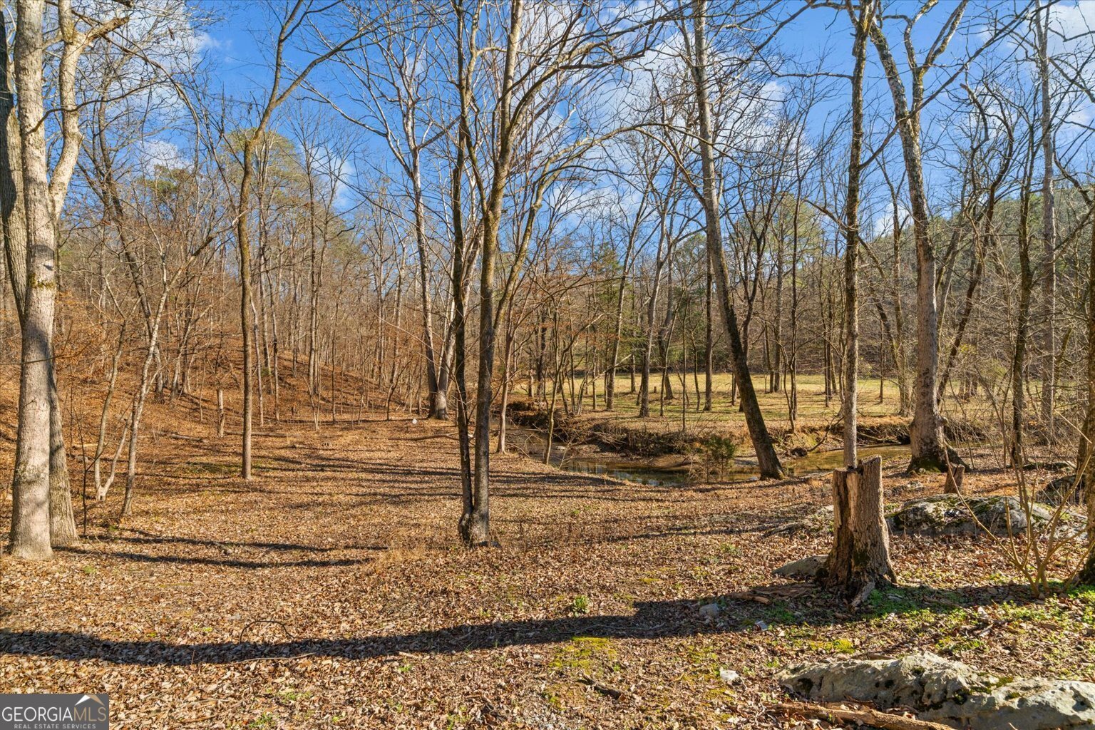 1021 Liberty Church Road Ranger - Photo 52