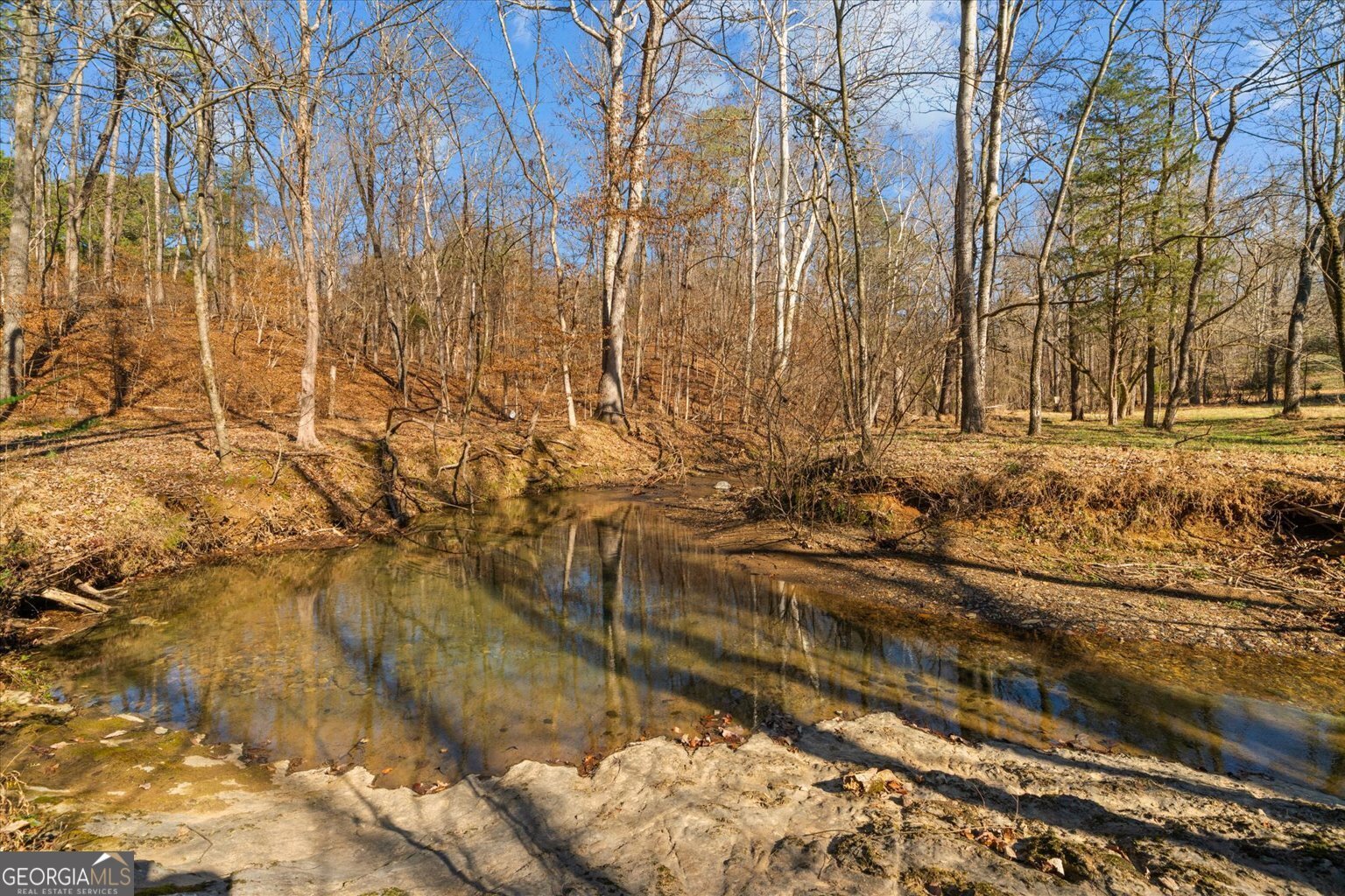 1021 Liberty Church Road Ranger - Photo 53