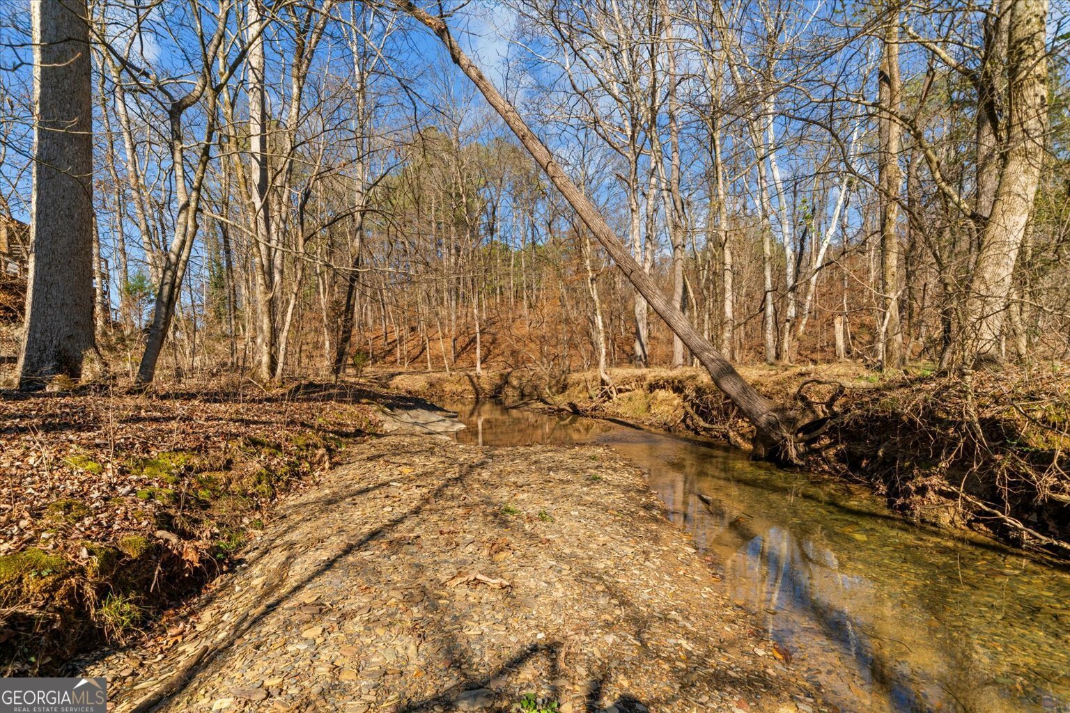 1021 Liberty Church Road Ranger - Photo 54