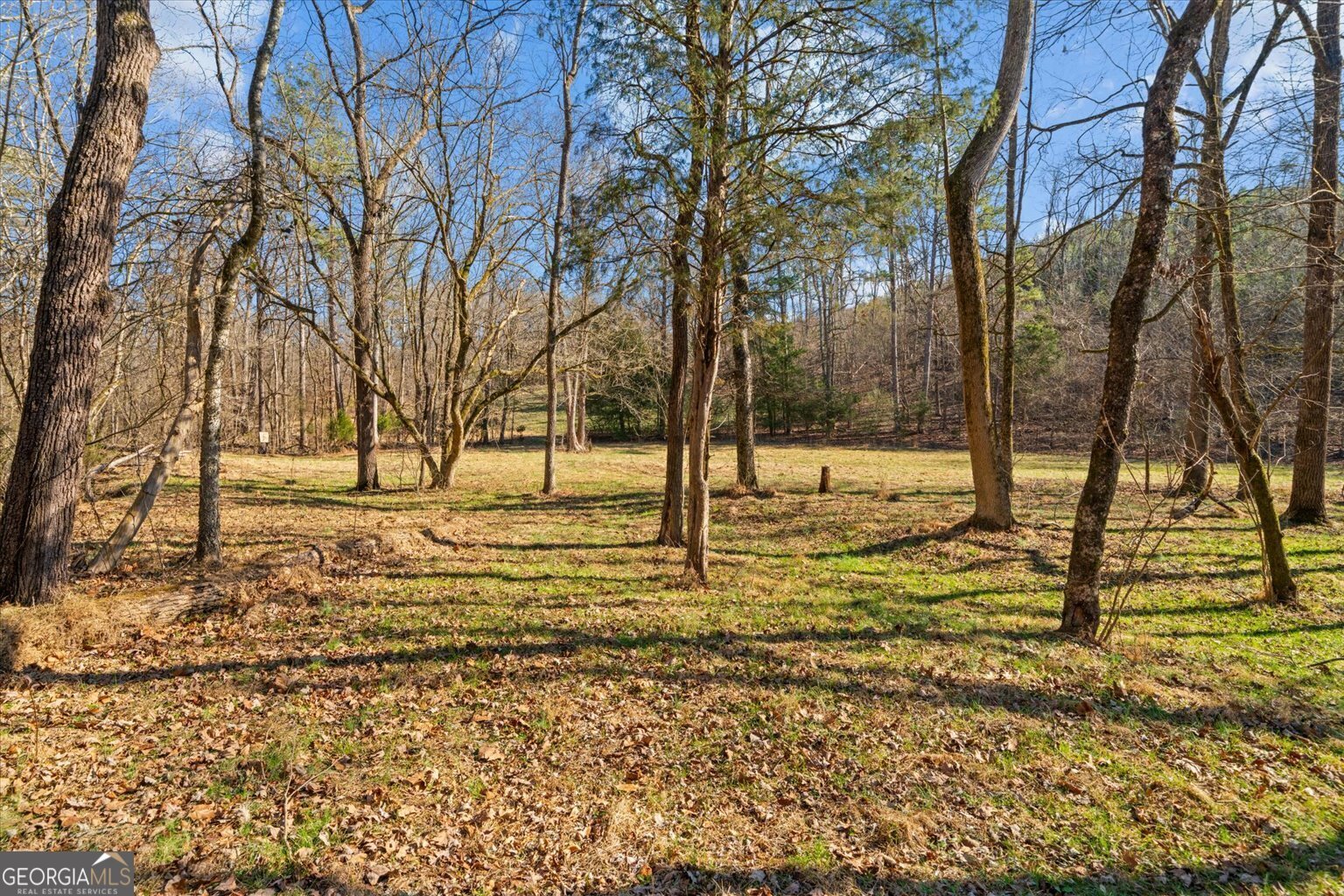 1021 Liberty Church Road Ranger - Photo 56