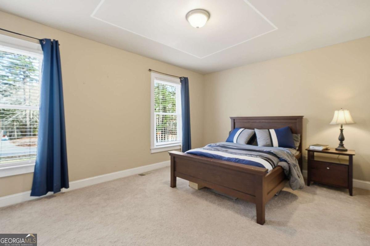 103 Port Victoria Way Woodstock - Photo 19