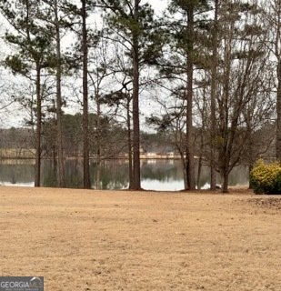 101 Lakesprings Drive McDonough - Photo 10