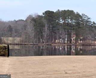 101 Lakesprings Drive McDonough - Photo 11