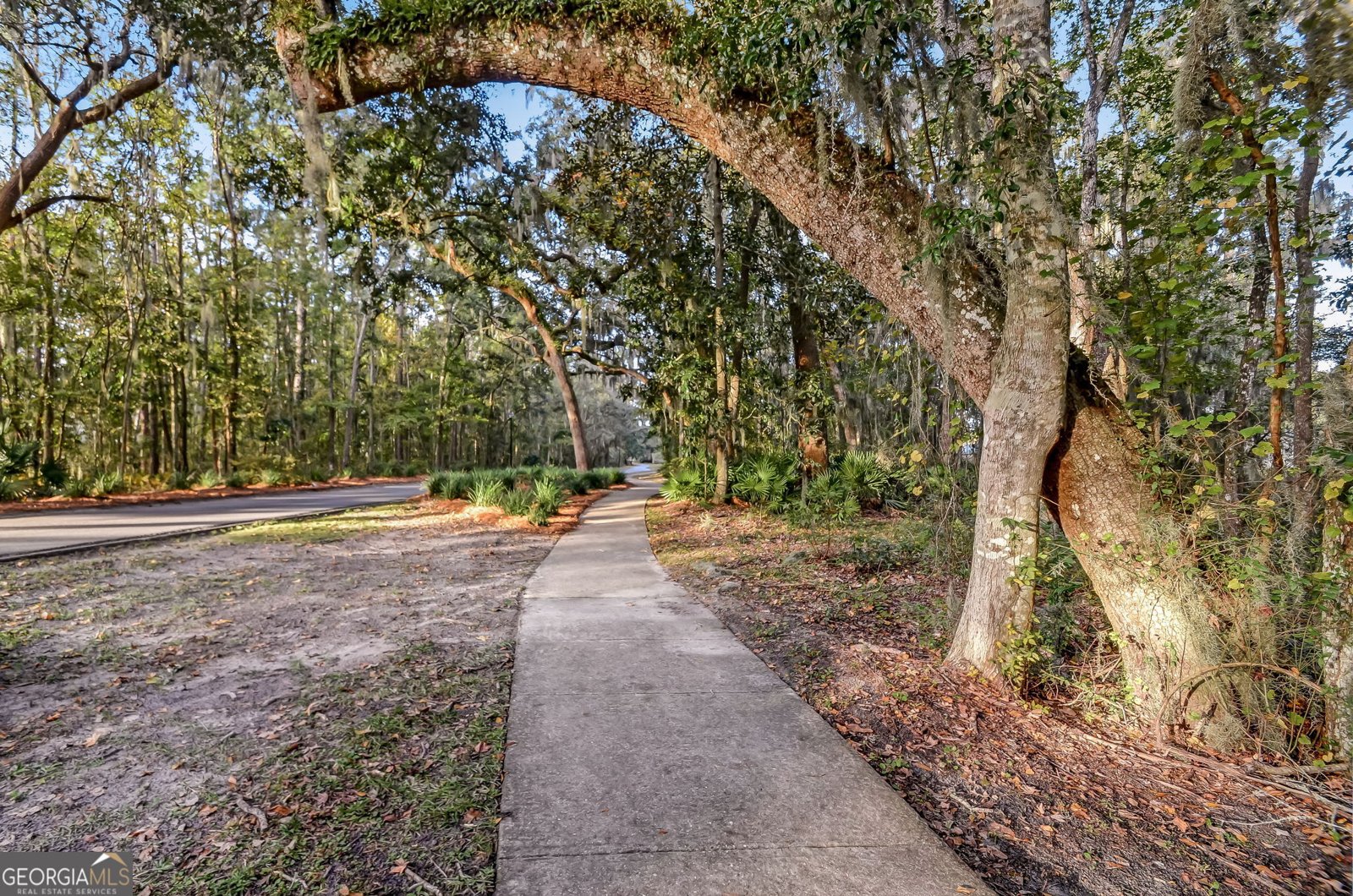 309 Hunt Club Road St. Marys - Photo 54