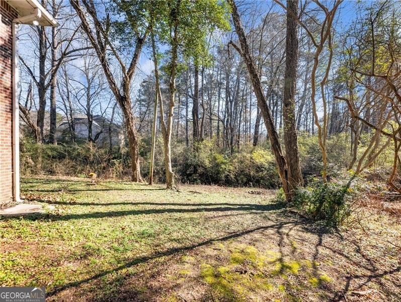 2305 Highway 29 Dacula - Photo 34