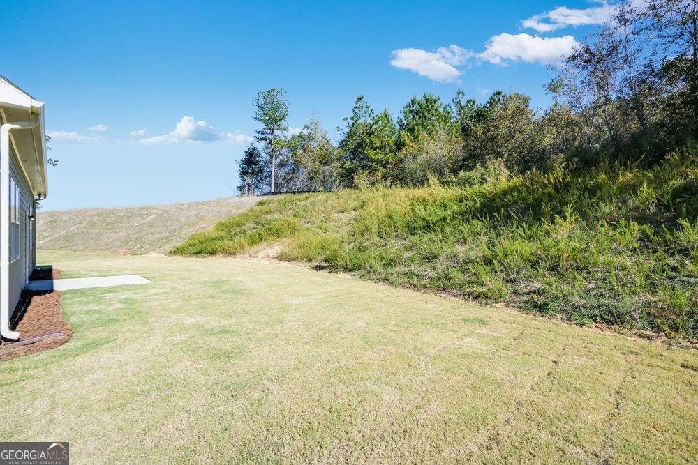 233 Groveton Court Euharlee - Photo 26