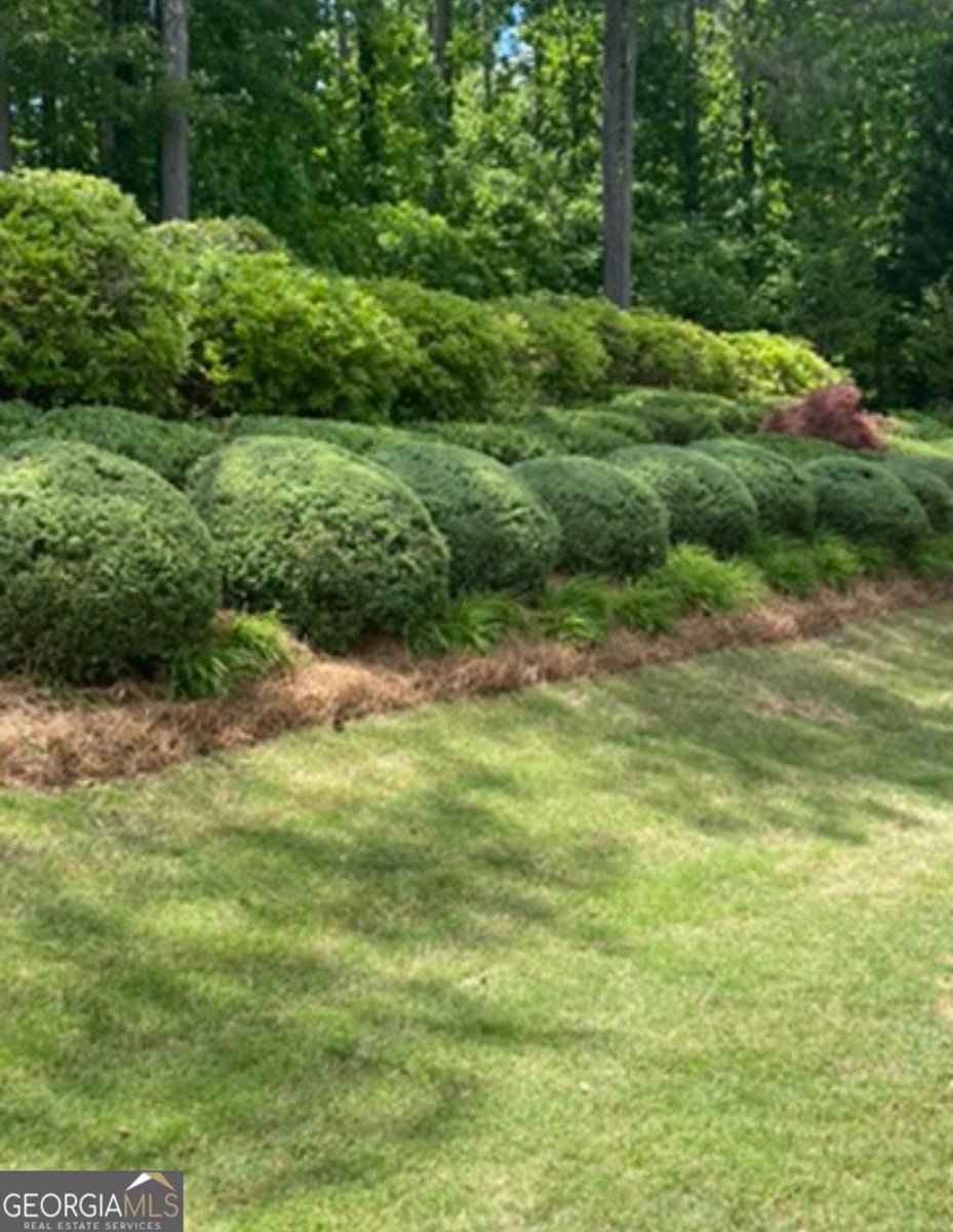 210 River Laurel Way Woodstock - Photo 69