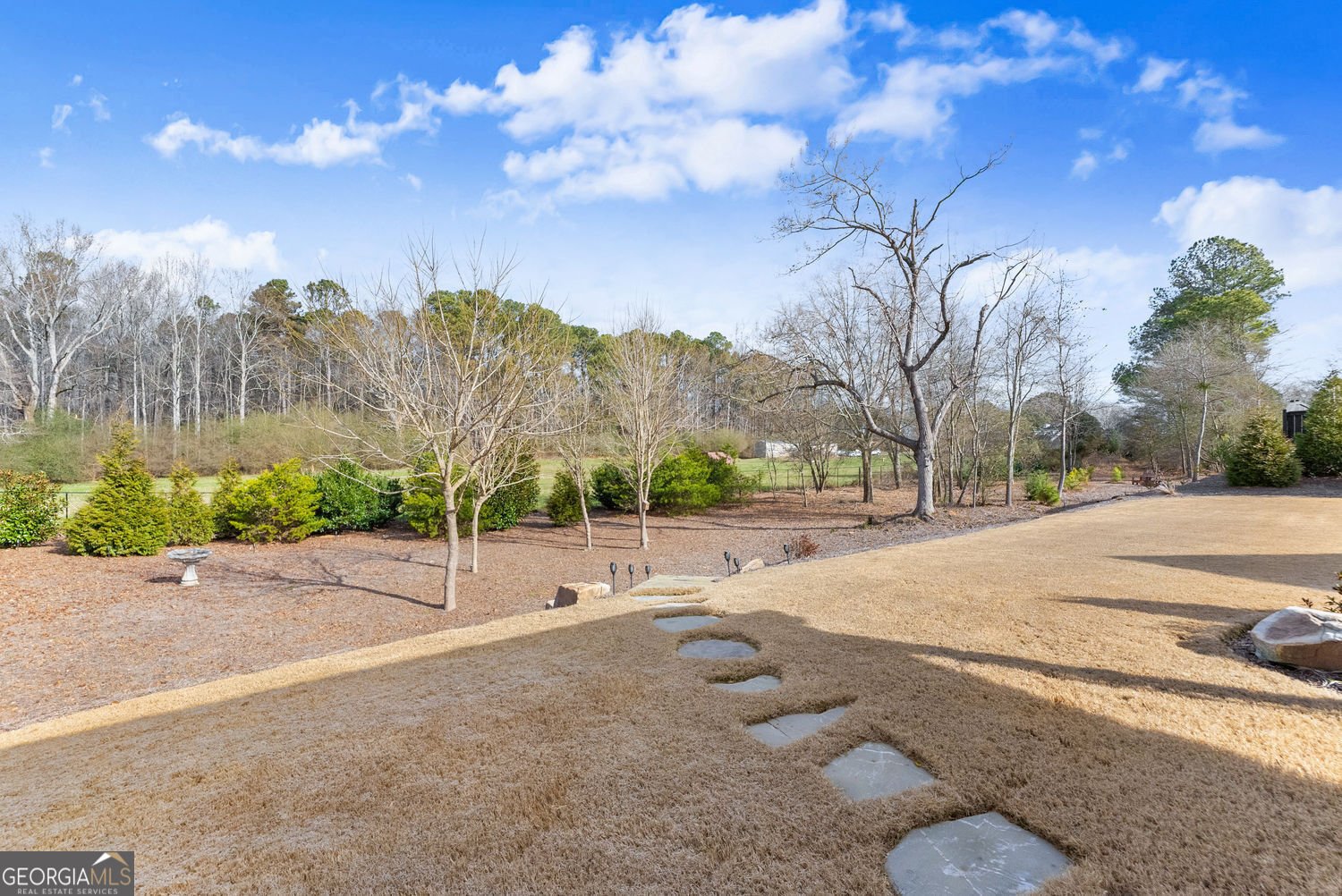 6610 Belmont Estates Drive Dawsonville - Photo 53