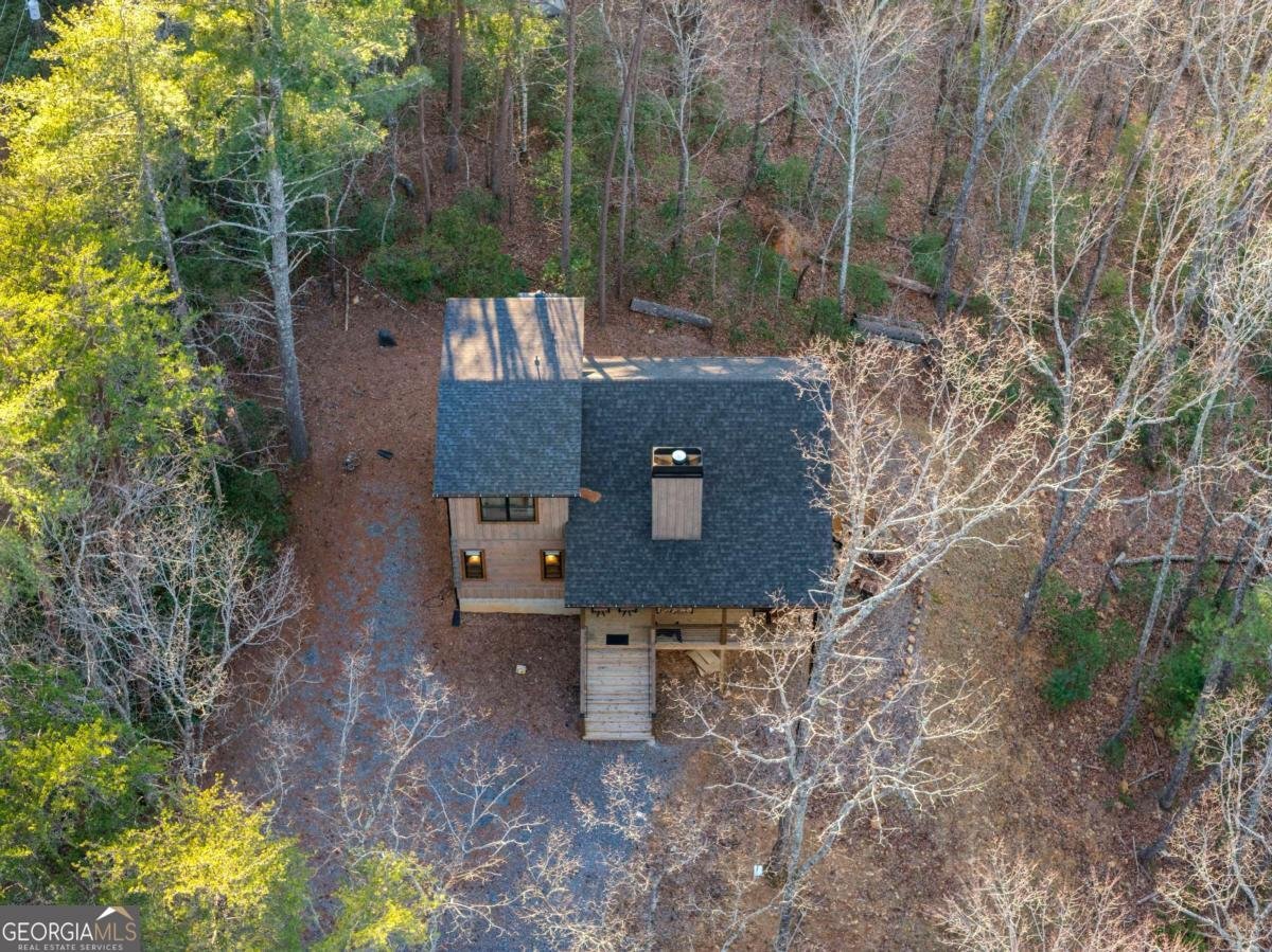 447 Pig Trail Cherry Log - Photo 62