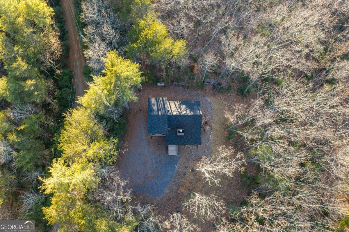 447 Pig Trail Cherry Log - Photo 64