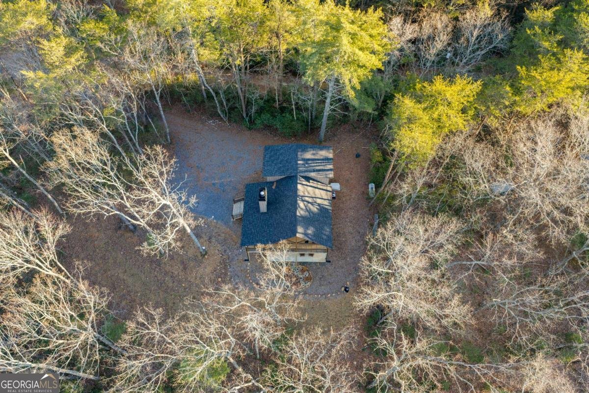 447 Pig Trail Cherry Log - Photo 65