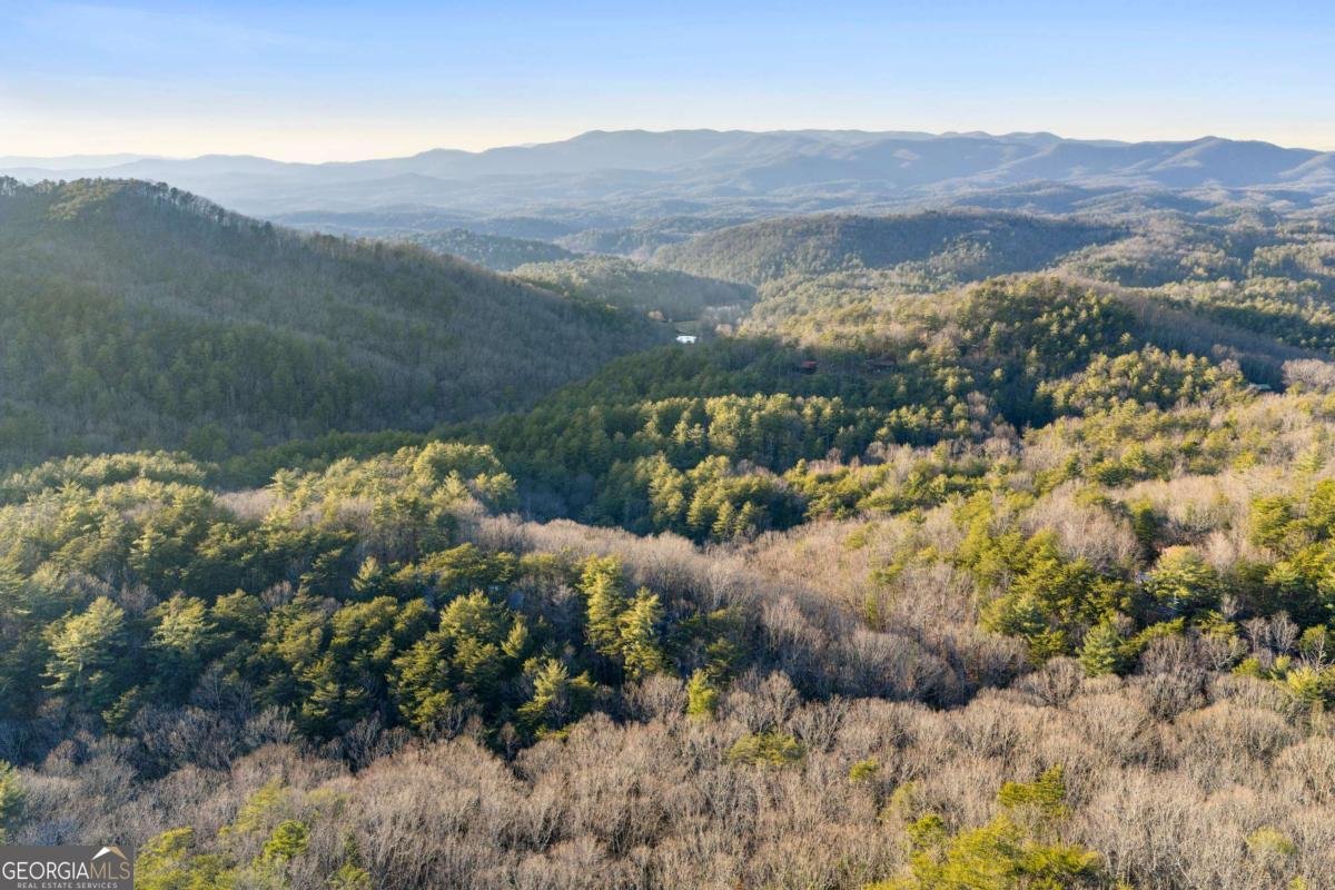 447 Pig Trail Cherry Log - Photo 67