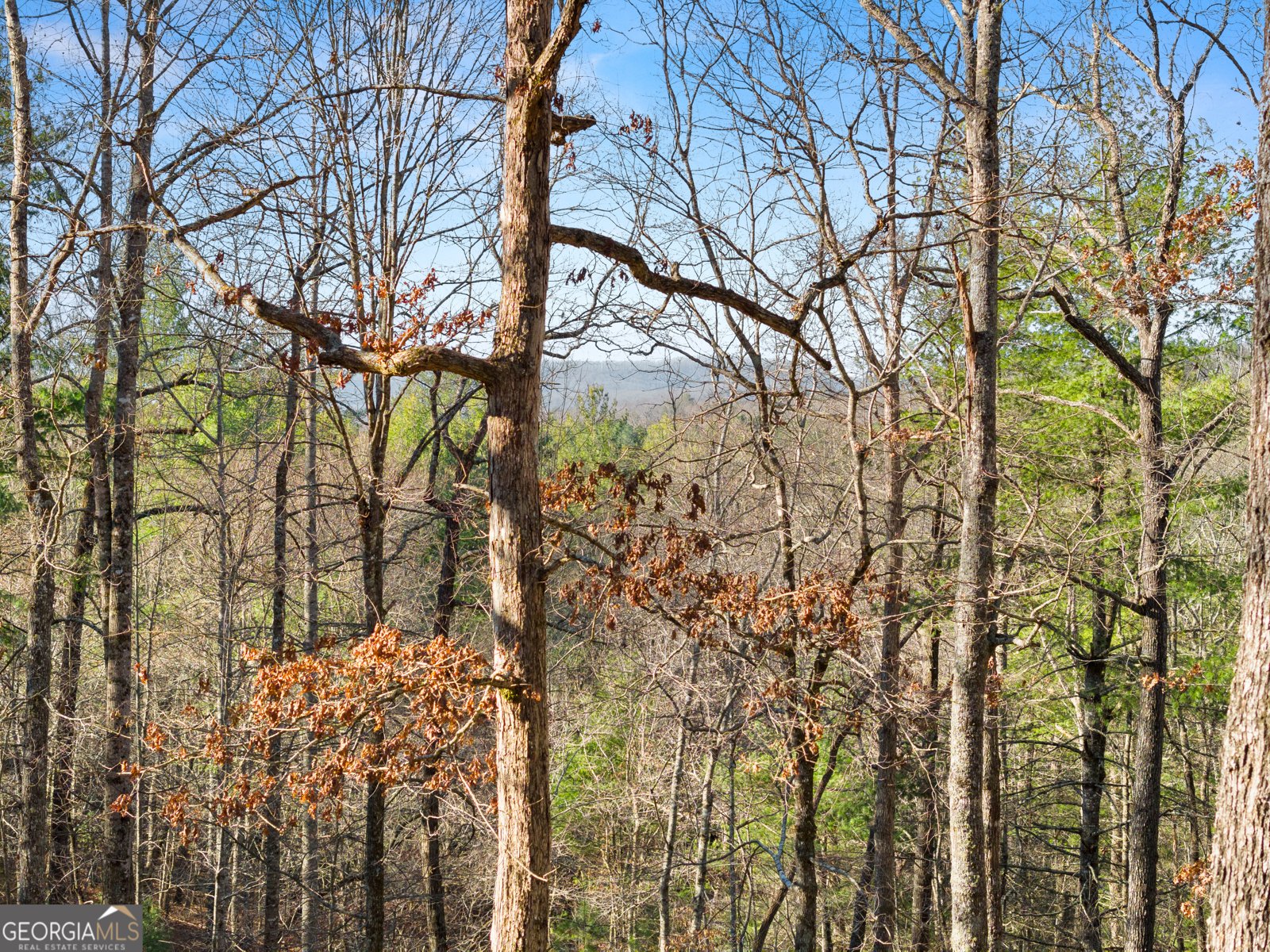 234 Old Indian Trail Blue Ridge - Photo 40