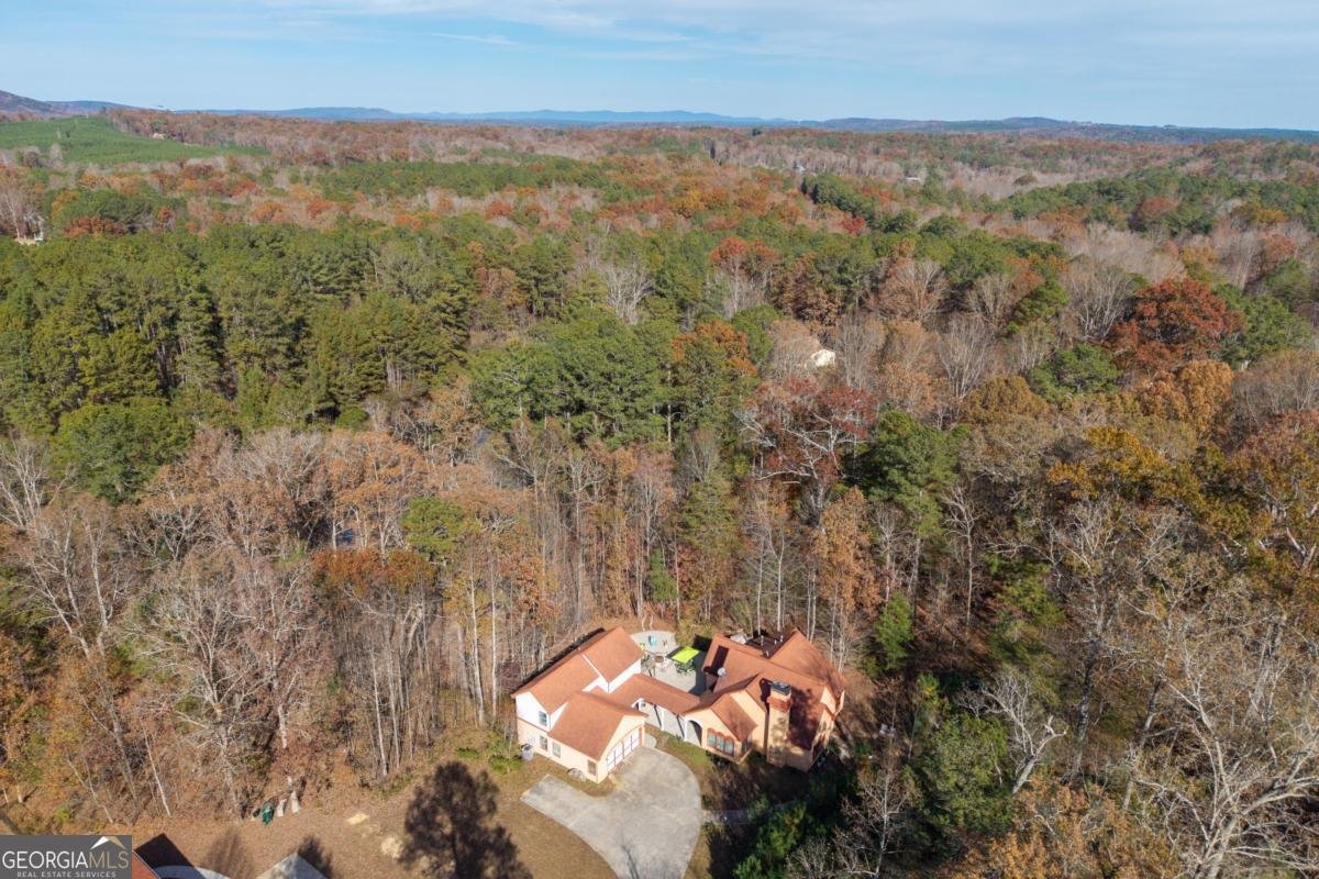 1045 Fincher Road Canton - Photo 61