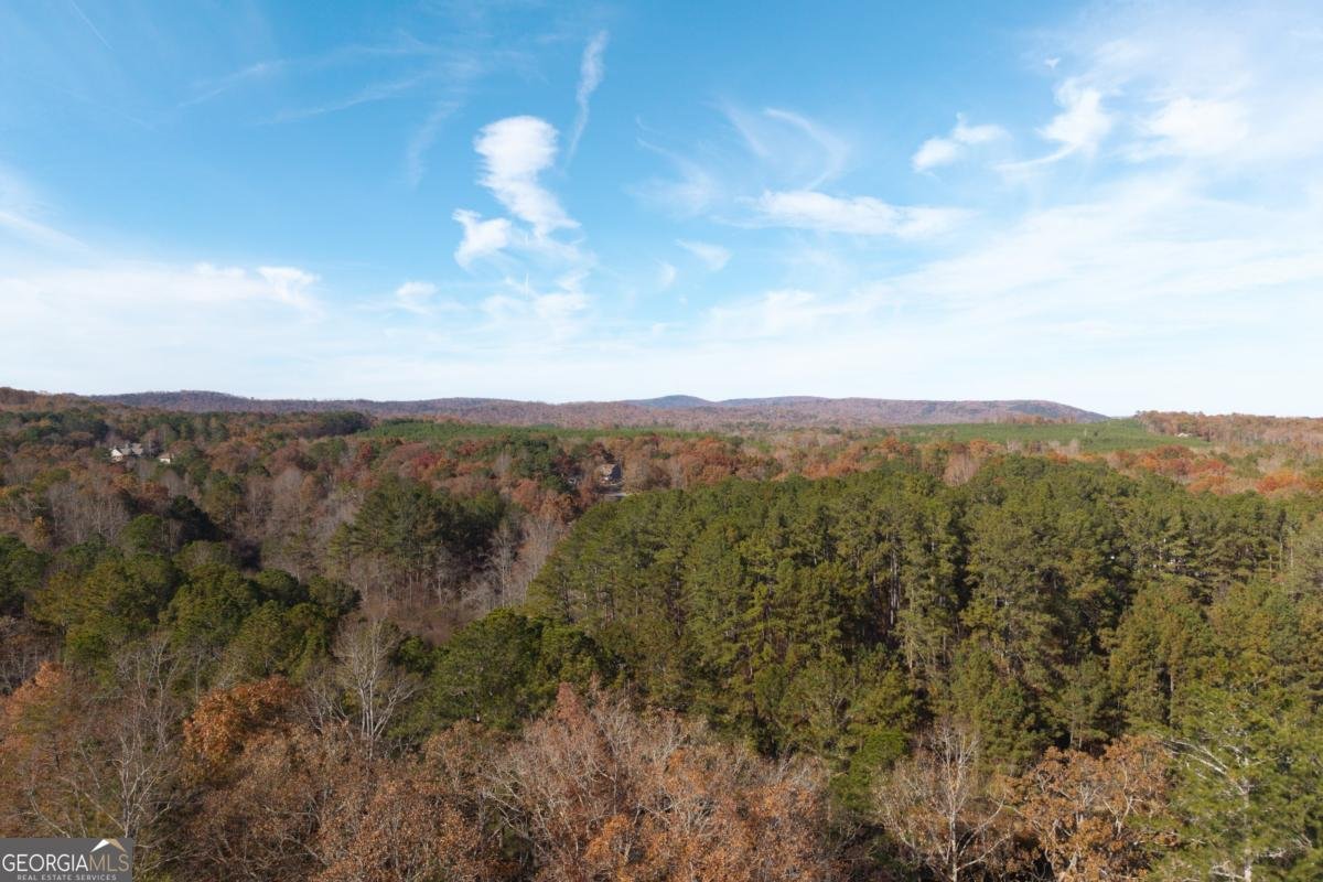 1045 Fincher Road Canton - Photo 69