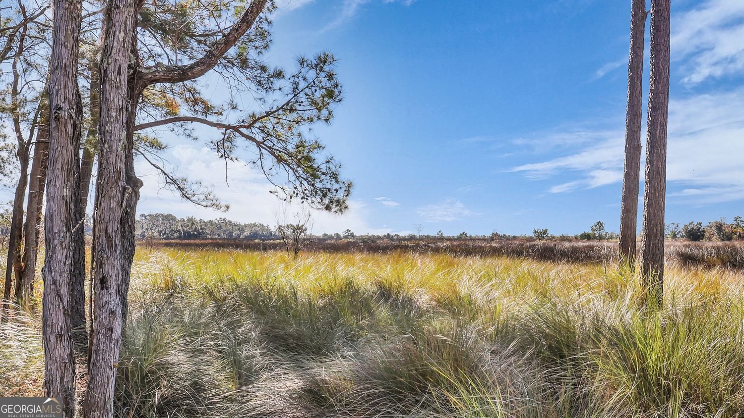 492 Hunters Loop Drive Bluffton - Photo 54