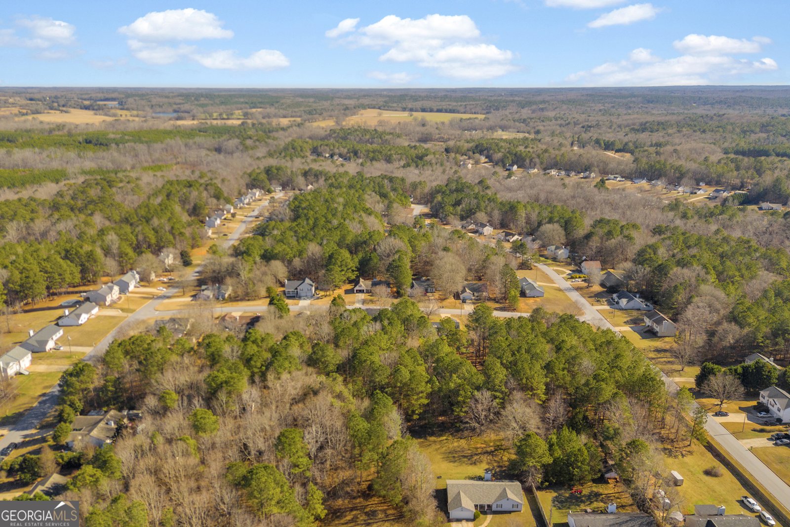 45 Mayfair Way Covington - Photo 70