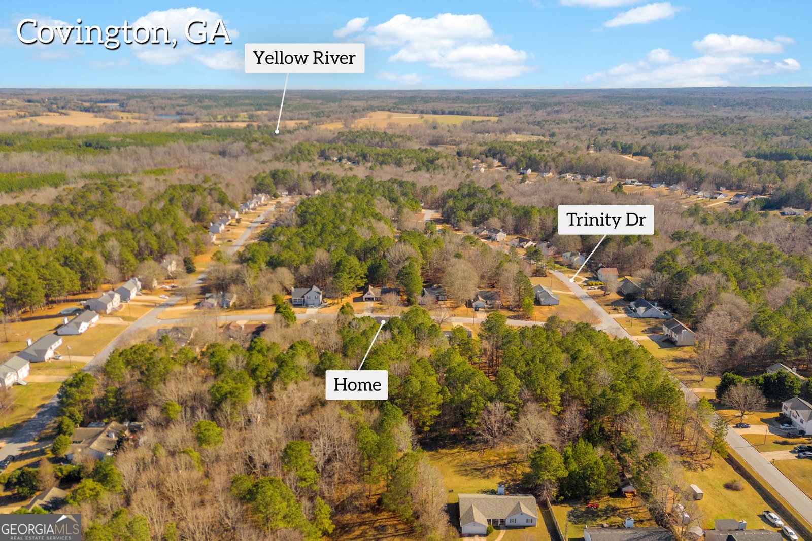 45 Mayfair Way Covington - Photo 71