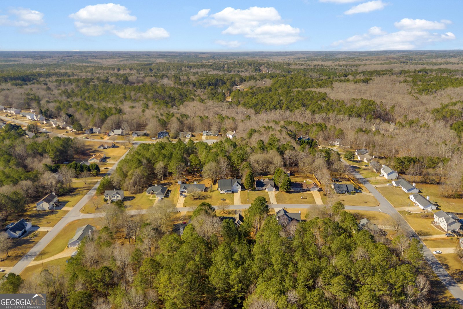 45 Mayfair Way Covington - Photo 73