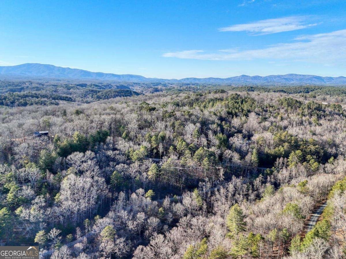 250 Wolf Creek Circle Mineral Bluff - Photo 12
