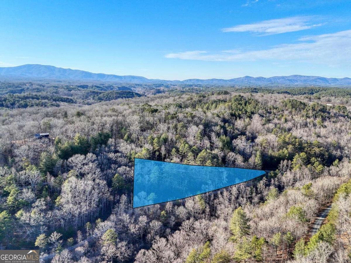250 Wolf Creek Circle Mineral Bluff - Photo 13