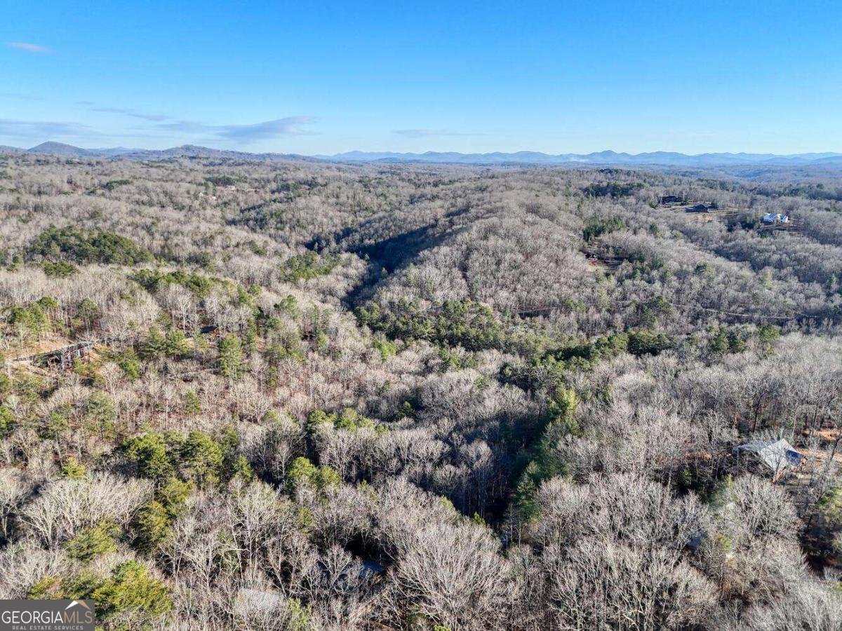 250 Wolf Creek Circle Mineral Bluff - Photo 14
