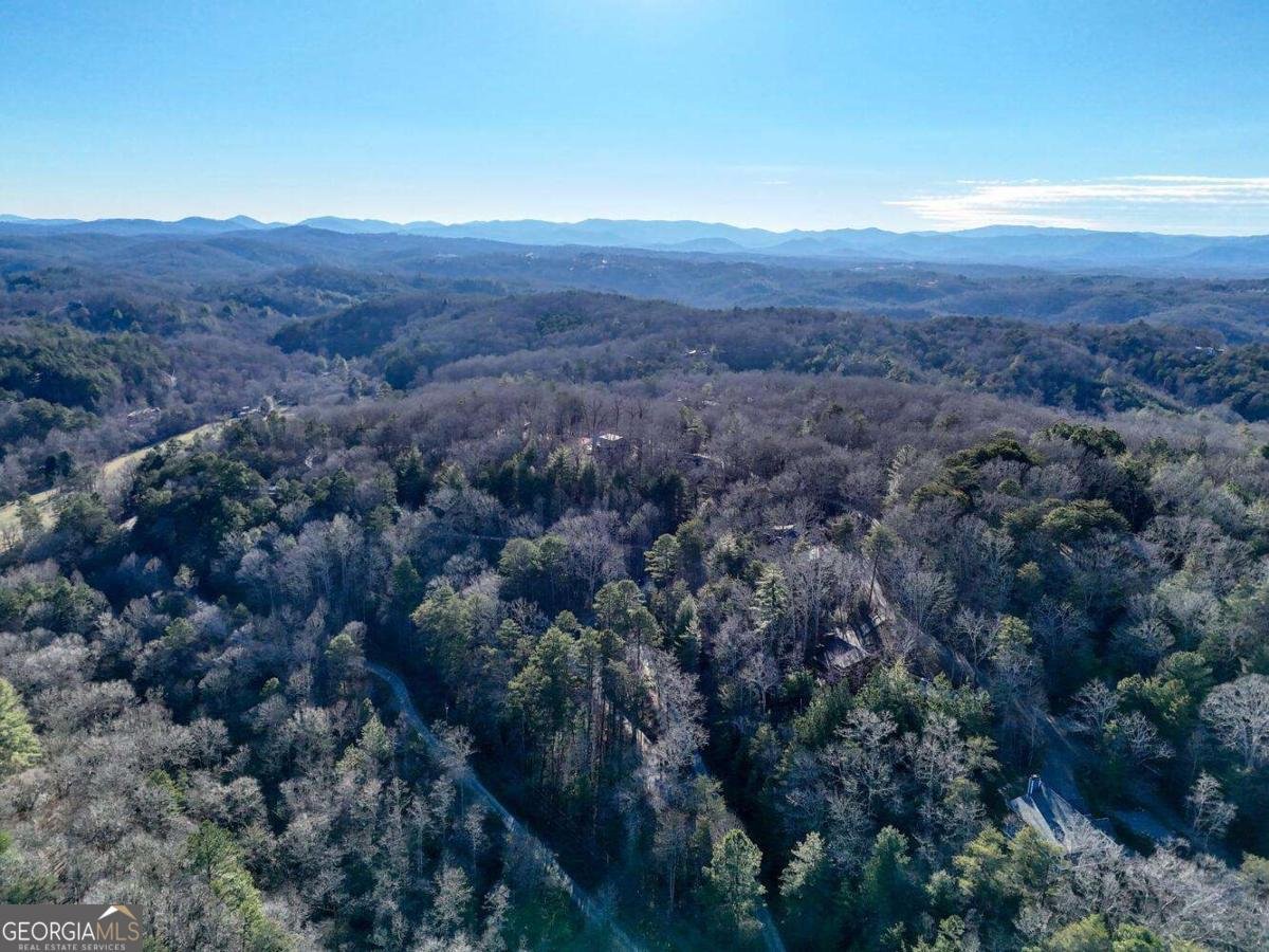 250 Wolf Creek Circle Mineral Bluff - Photo 15