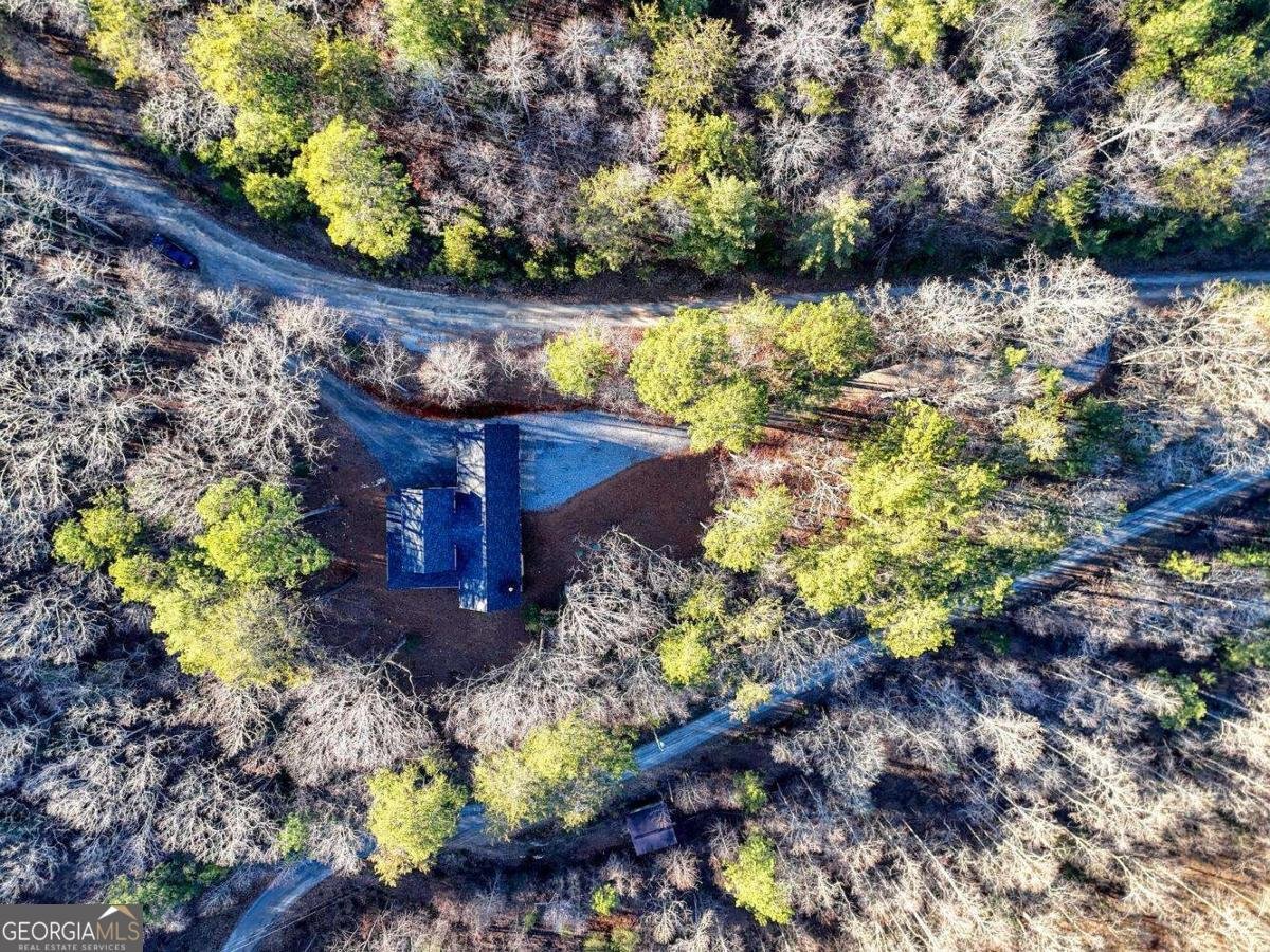 250 Wolf Creek Circle Mineral Bluff - Photo 16