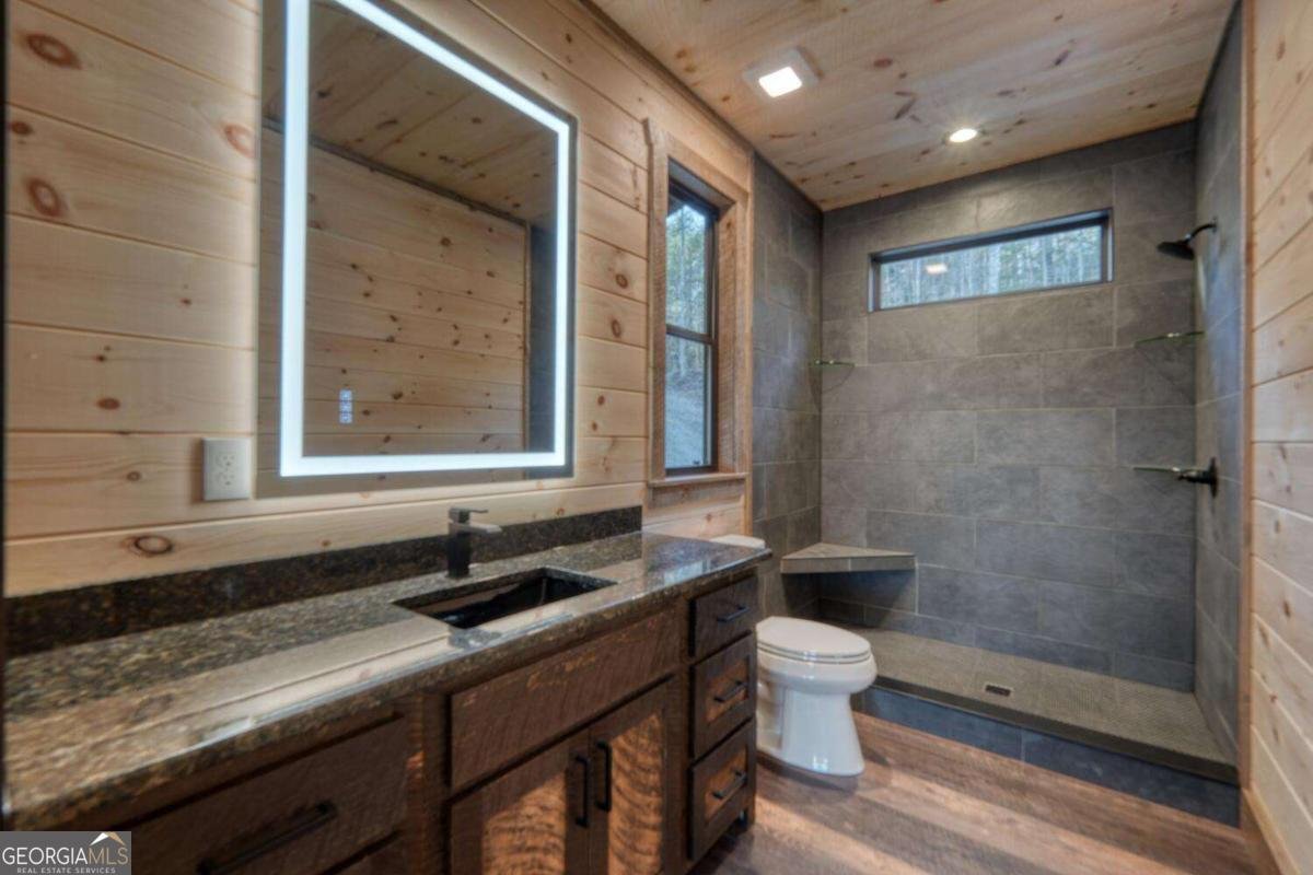 250 Wolf Creek Circle Mineral Bluff - Photo 40