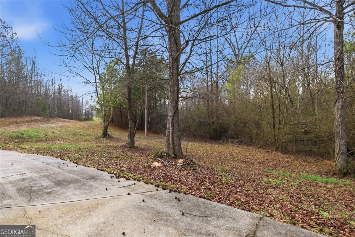 197 Garmon Road Cedartown - Photo 27