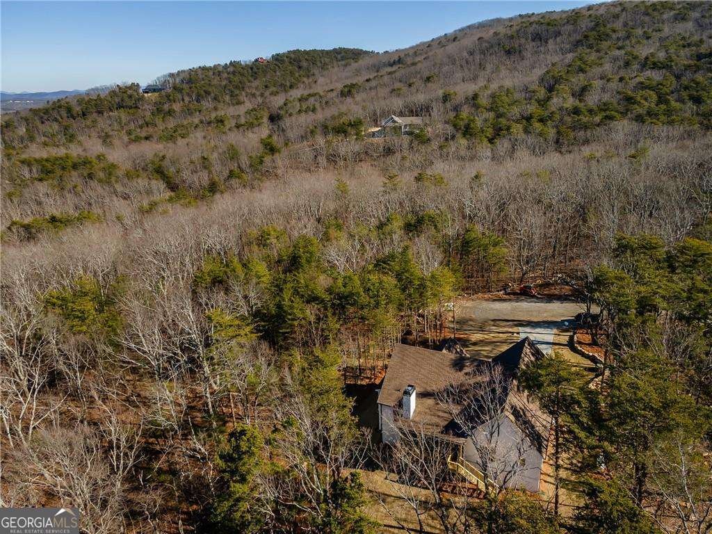 255 Salacoa Mountain View Drive Jasper - Photo 42